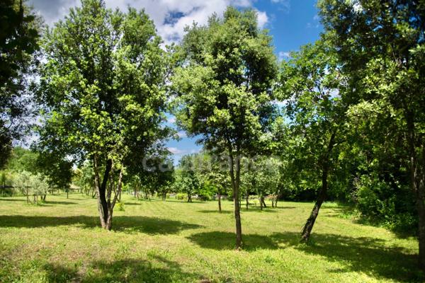 Entre Uzès et La Roque-sur-Cèze, Éden Provençal : Mas du XVIIIe & Son Domaine Privé sur 3,3 hectares