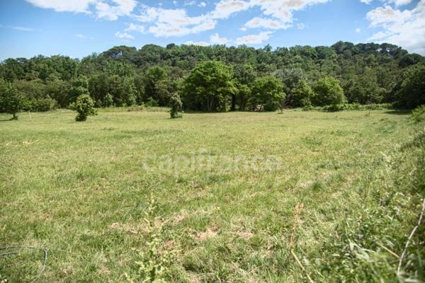 Entre Uzès et La Roque-sur-Cèze, Éden Provençal : Mas du XVIIIe & Son Domaine Privé sur 3,3 hectares