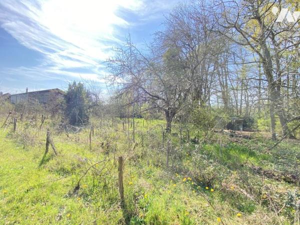 VILLEMANDEUR : Propriété avec atelier de menuiserie et terrain constructible de 5000 m²