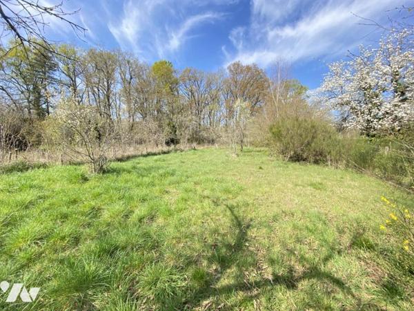 VILLEMANDEUR : Propriété avec atelier de menuiserie et terrain constructible de 5000 m²