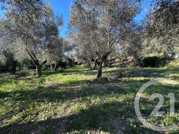 Terrain à vendre  5677 m2 OPIO - 06