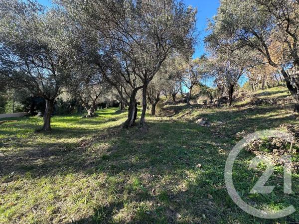 Terrain à vendre  5677 m2 OPIO - 06