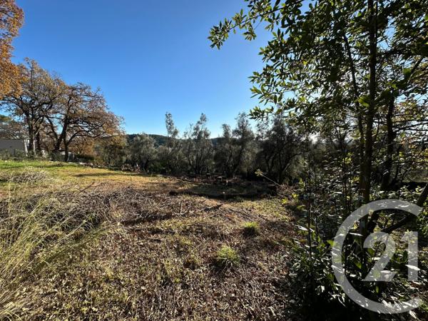 Terrain à vendre  5677 m2 OPIO - 06