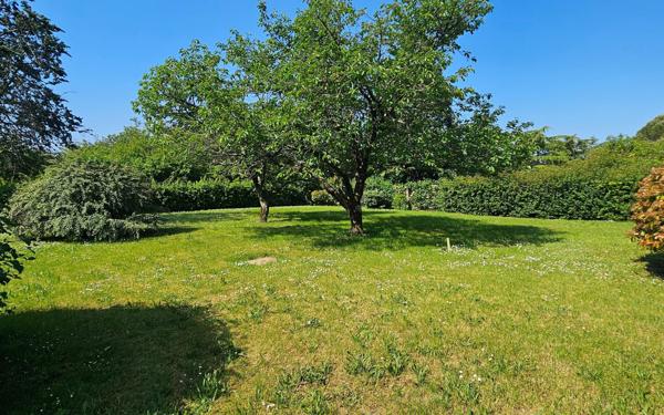 Terrain à vendre    Buxerolles