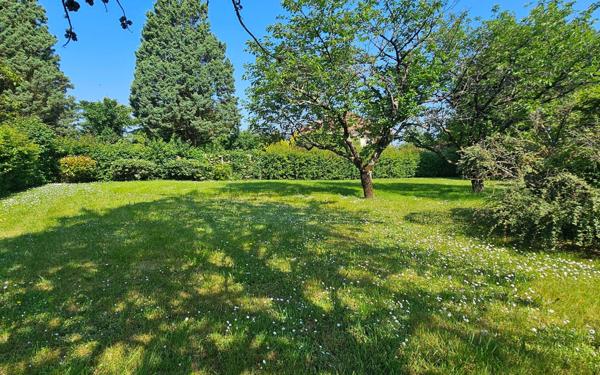 Terrain à vendre    Buxerolles