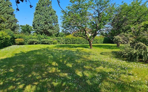 Terrain à vendre    Buxerolles