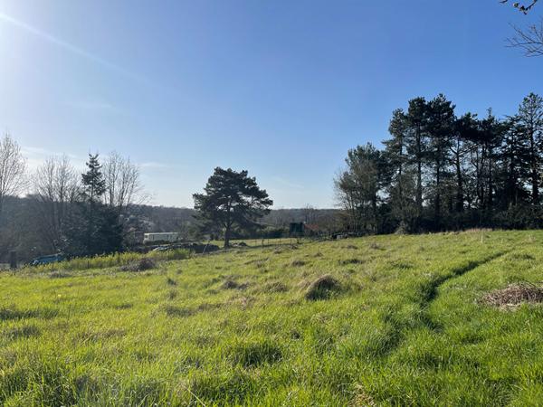 Terrain MERVENT - 1809 m2