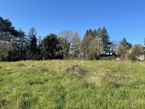 Terrain MERVENT - 1809 m2