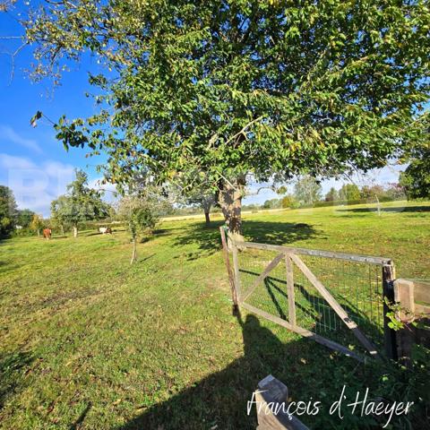 🏡 Belle maison normande rénovée – idéale pour les amoureux de la campagne et des chevaux !