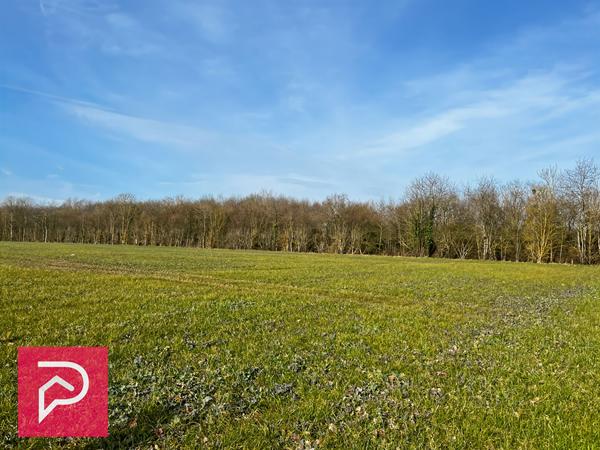 Terrain 2800 m2