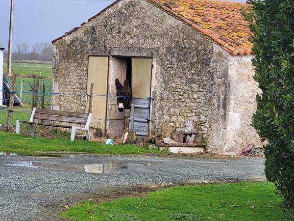 Maison type fermette 4 chambres à vendre à Moreilles