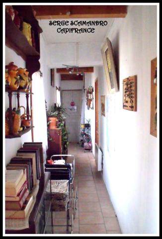 Dpt Gers (32), à vendre MASSEUBE maison 4 chambres - 4 salles d'eau terrain de 1,8 ha VUE SUR LES PYRENEES