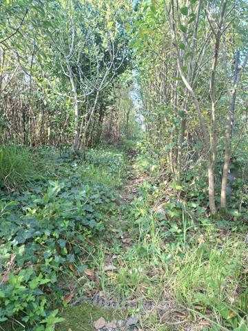 Maison en pierre à rénover, idéalement située au cœur de Castillon, avec jardin et beau potentiel d’aménagement.