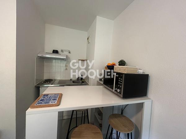 TOULOUSE- CANAL DU MIDI - T1 AC TERRASSE