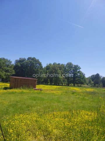 Terrain à vendre de 8 500,00 m² VILLEFRANCHE SUR CHER 41 dans un environnement très calme et verdoyant