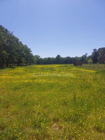 Terrain à vendre de 8 500,00 m² VILLEFRANCHE SUR CHER 41 dans un environnement très calme et verdoyant