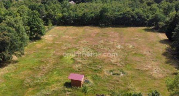 Terrain à vendre de 8 500,00 m² VILLEFRANCHE SUR CHER 41 dans un environnement très calme et verdoyant