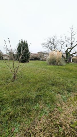 Très beau terrain arboré