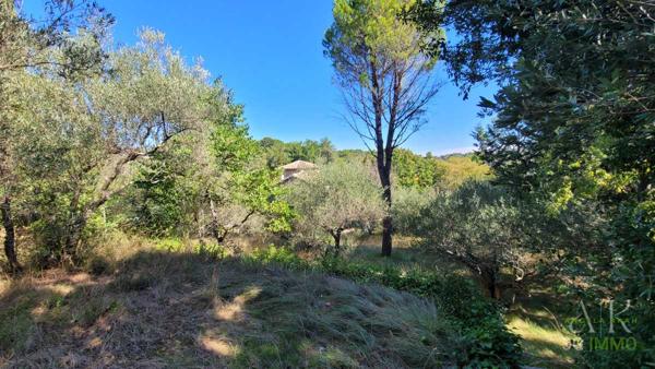 Vente / Maison et grand terrain