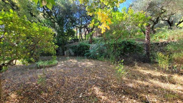 Vente / Maison et grand terrain