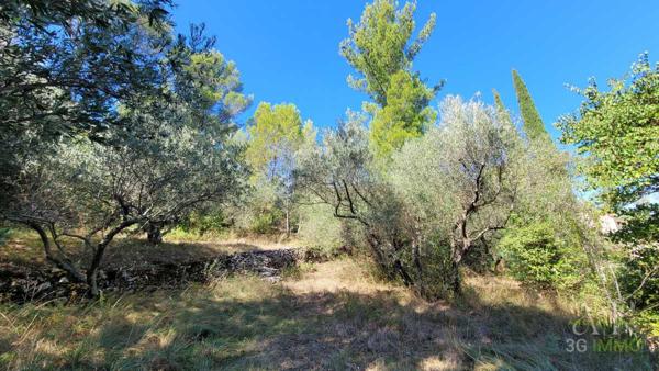 Vente / Maison et grand terrain