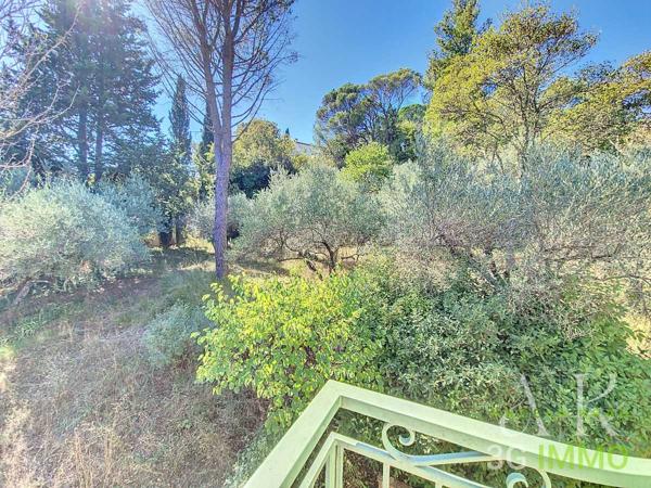 Vente / Maison et grand terrain