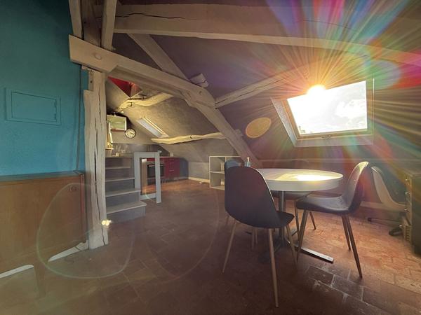 ANGERS HYPER-CENTRE ? DUPLEX D'EXCEPTION AVEC TERRASSE ET VUE PANORAMIQUE