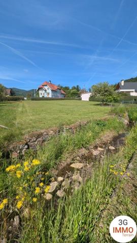 Vente / Terrain