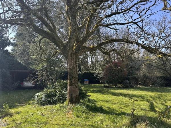 Achat - Maison Arradon 56610 130 m 2 1398 m 2
