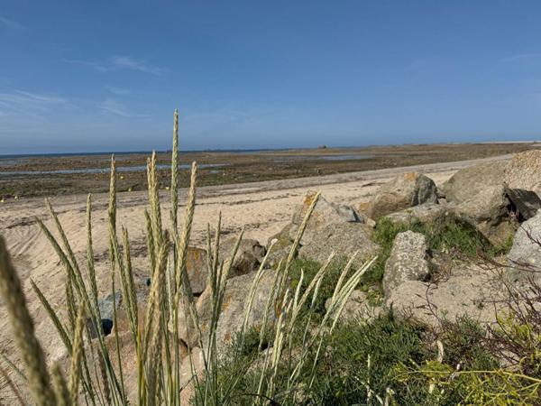 Maison contemporaine avec studio indépendant à 200 m de la plage, L'Armor-Pleubian (Presqu'île Sauvage)
