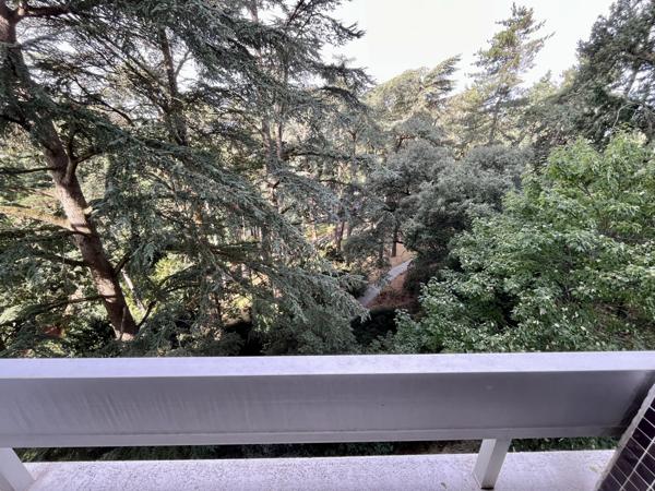 Appartement 1 pièce - 31 m² Exclusivité efficity