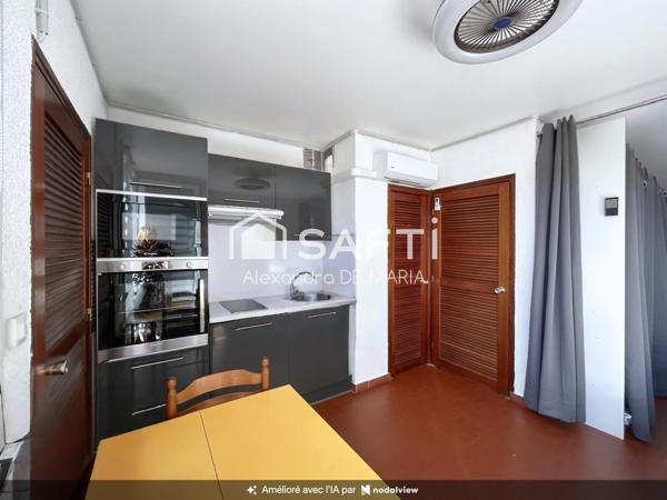 APPARTEMENT CLIMATISE AVEC TERRASSE, PLAGE A 100 M