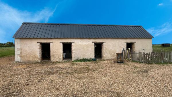 Grande maison familiale avec dépendance et vaste terrain à proximité de Noyant-Villages