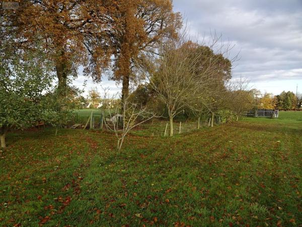 Maison à vendre à Romagné en Ille-et-Vilaine (35133), ref : 036/765