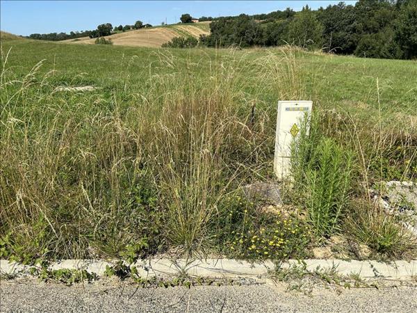 Terrain à vendre |  Monclar-de-Quercy |  1795 m²