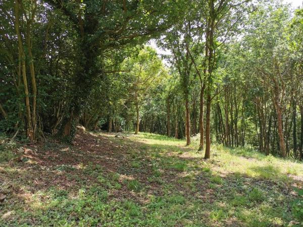 Maison La Méaugon 119 m²