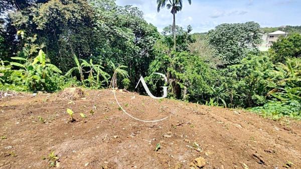 TERRAIN 652 m2 - CENTRE VILLE DE SAINT JOSPEH