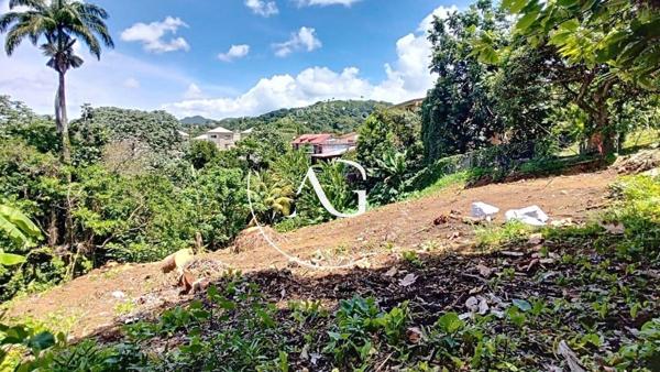 TERRAIN 652 m2 - CENTRE VILLE DE SAINT JOSPEH