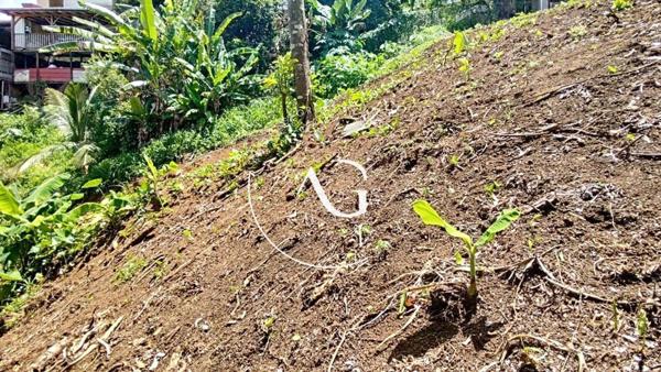 TERRAIN 652 m2 - CENTRE VILLE DE SAINT JOSPEH