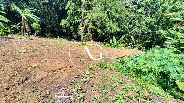 TERRAIN 652 m2 - CENTRE VILLE DE SAINT JOSPEH