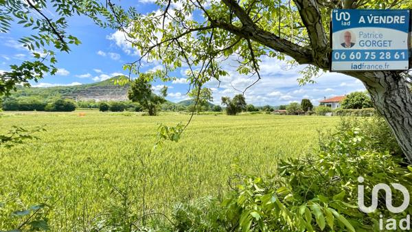 Terrain à vendre 4 300 m² Huos