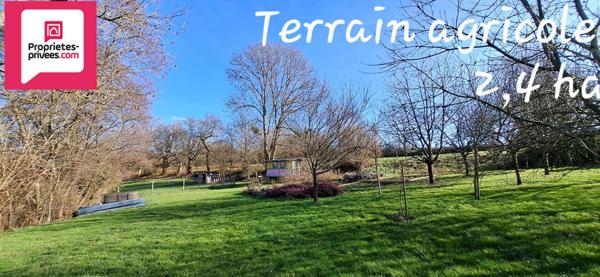 Moulin sur 2,4 hectares à Saint Amour