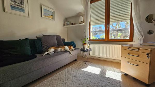 Maison familiale 162 m2 + maison à rénover 58 m2 + piscine - L'Agence Locale