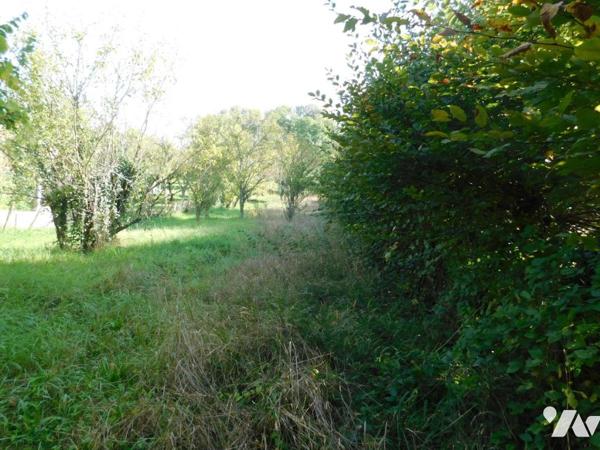 Terrain constructible sur les hauteurs de Pont-d'Ain avec vue dégagée