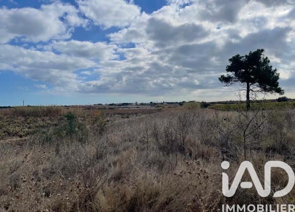 Terrain à vendre 1 940 m² Marseillan