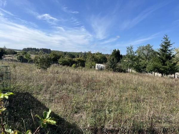 Terrain à vendre 40 000 € Vouthon 1755 m² DPE