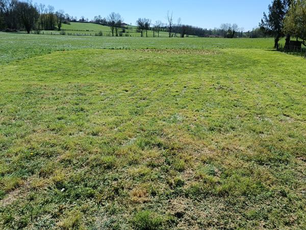 Terrain Confrancon 1047 m2