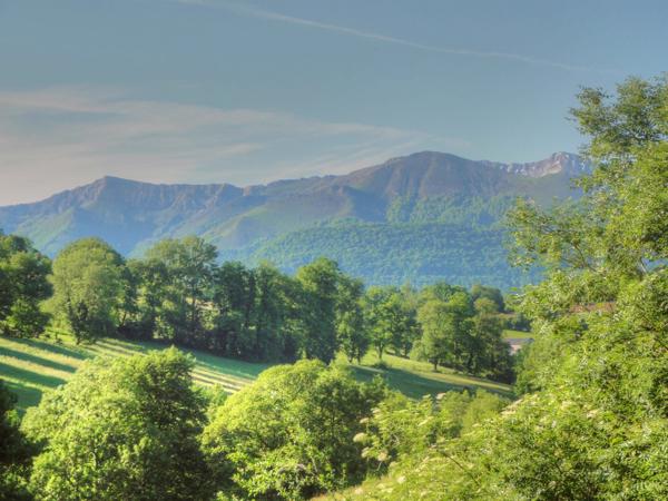 Maison à vendre à Pau (64000) - Pyrénées-Atlantiques