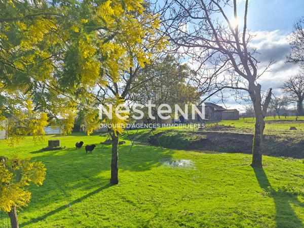 Maison à vendre proche Nueil-sur-Layon - Vaste terrain et dépendances -D6003