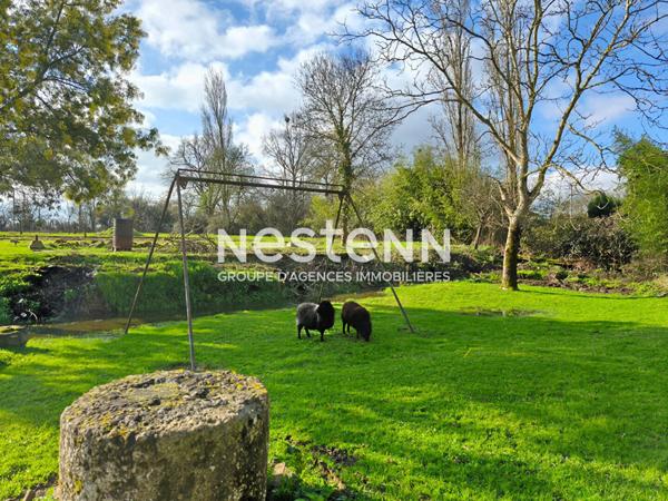 Maison à vendre proche Nueil-sur-Layon - Vaste terrain et dépendances -D6003